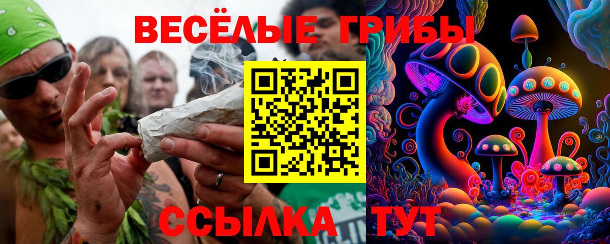 Можга  Псилоцибиновые грибы мицелий  Псилоцибиновые грибы Cubensis  Вход с VPN 